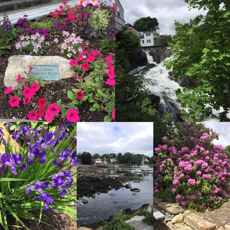 Camden Riverhouse Hotel And Inn Exterior foto